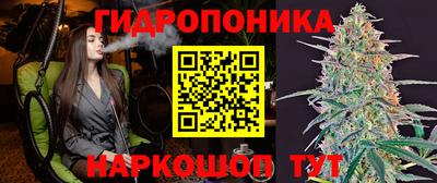 метадон Бердск