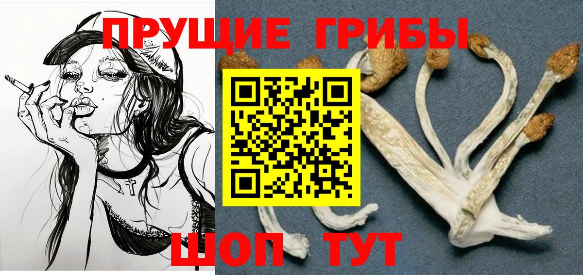 Галлюциногенные грибы Psilocybe Грязи
